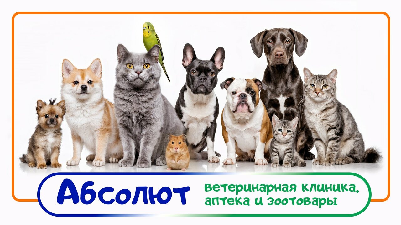 clinic general image