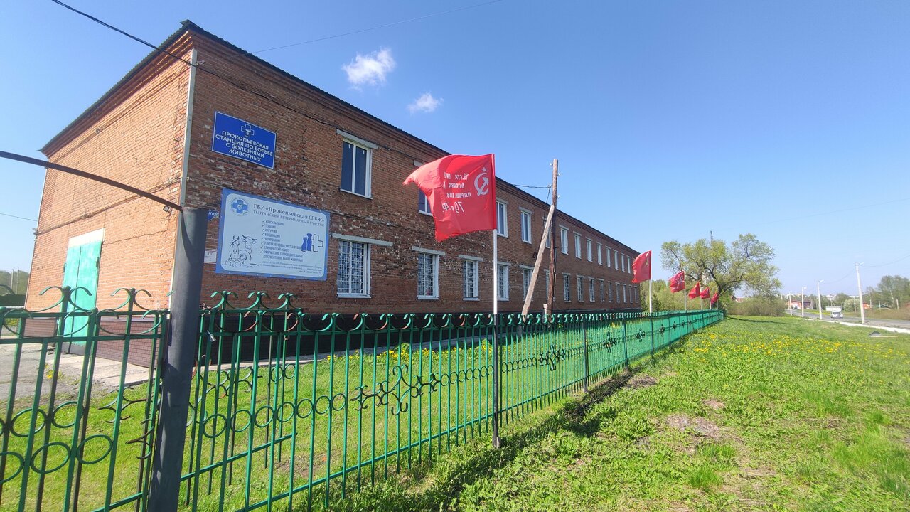 Фото клиники 81050