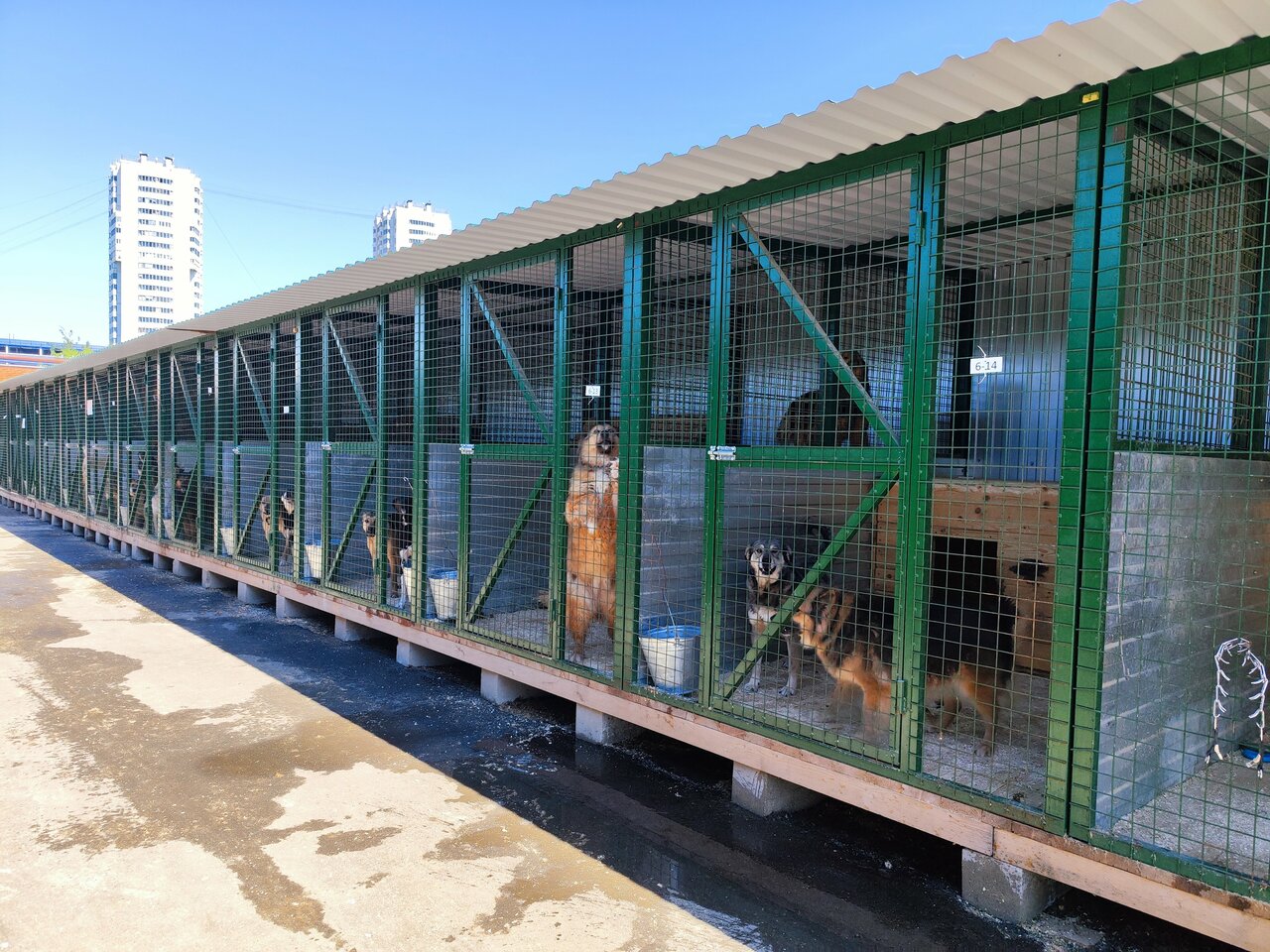 clinic general image