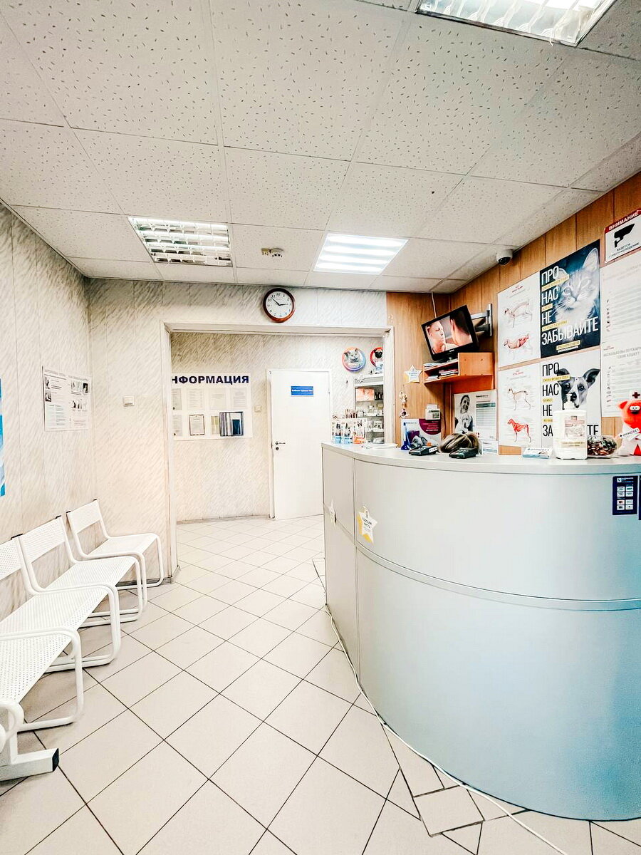 Фото клиники 12171