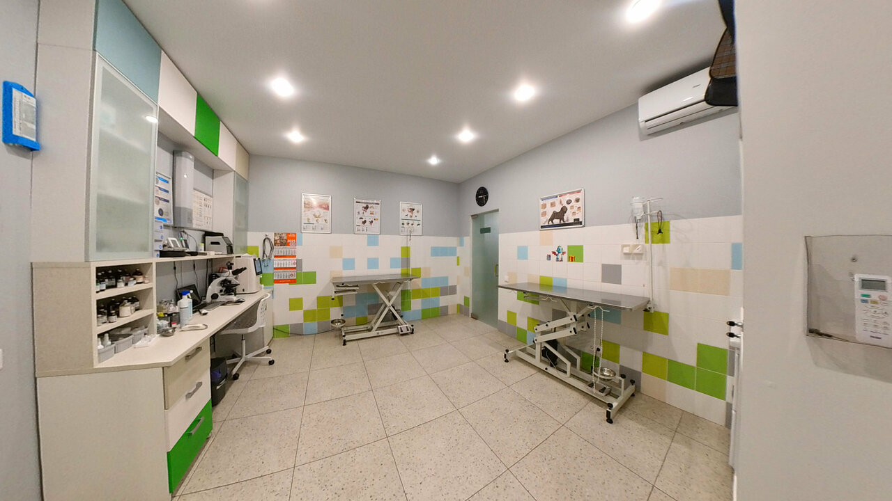 Фото клиники Дейли