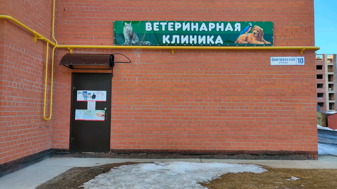 Фото клиники СОВвет