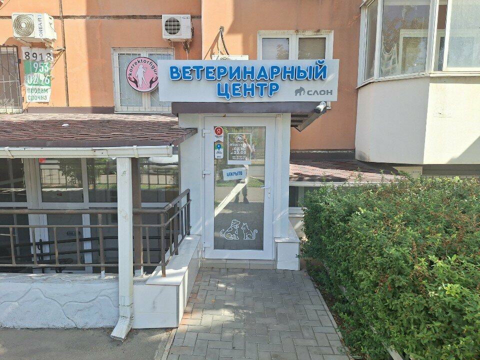 Фото клиники 72838