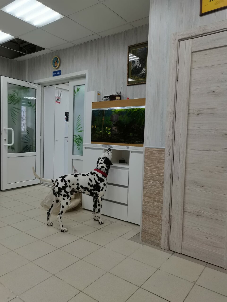 more clinic photos 85514