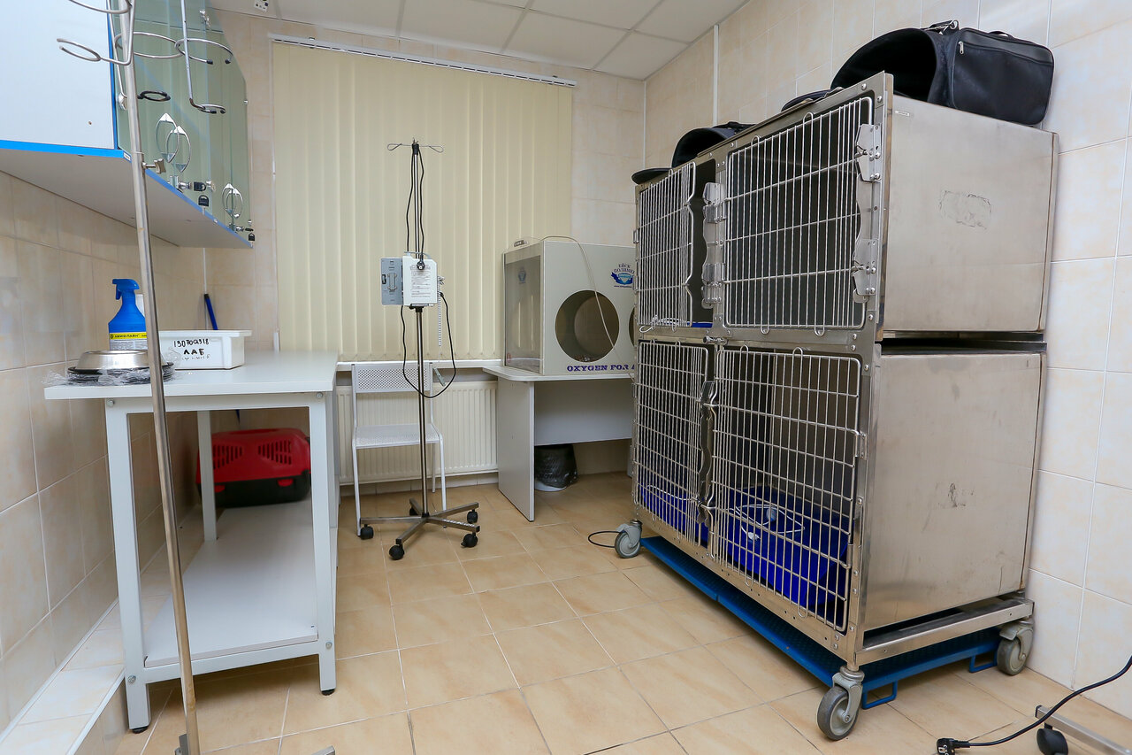 more clinic photos 9701