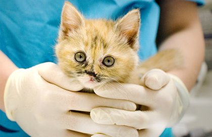 clinic general image