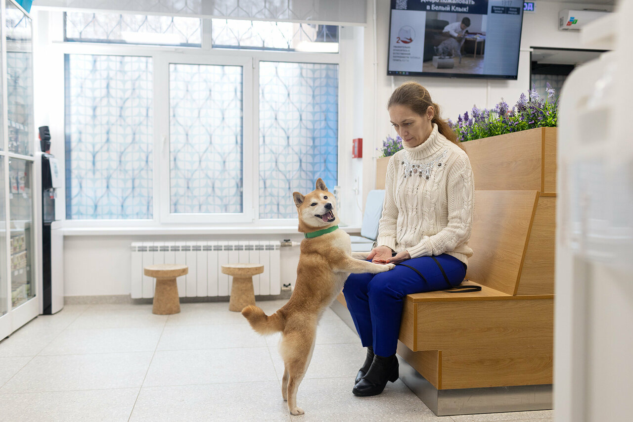 more clinic photos 5379