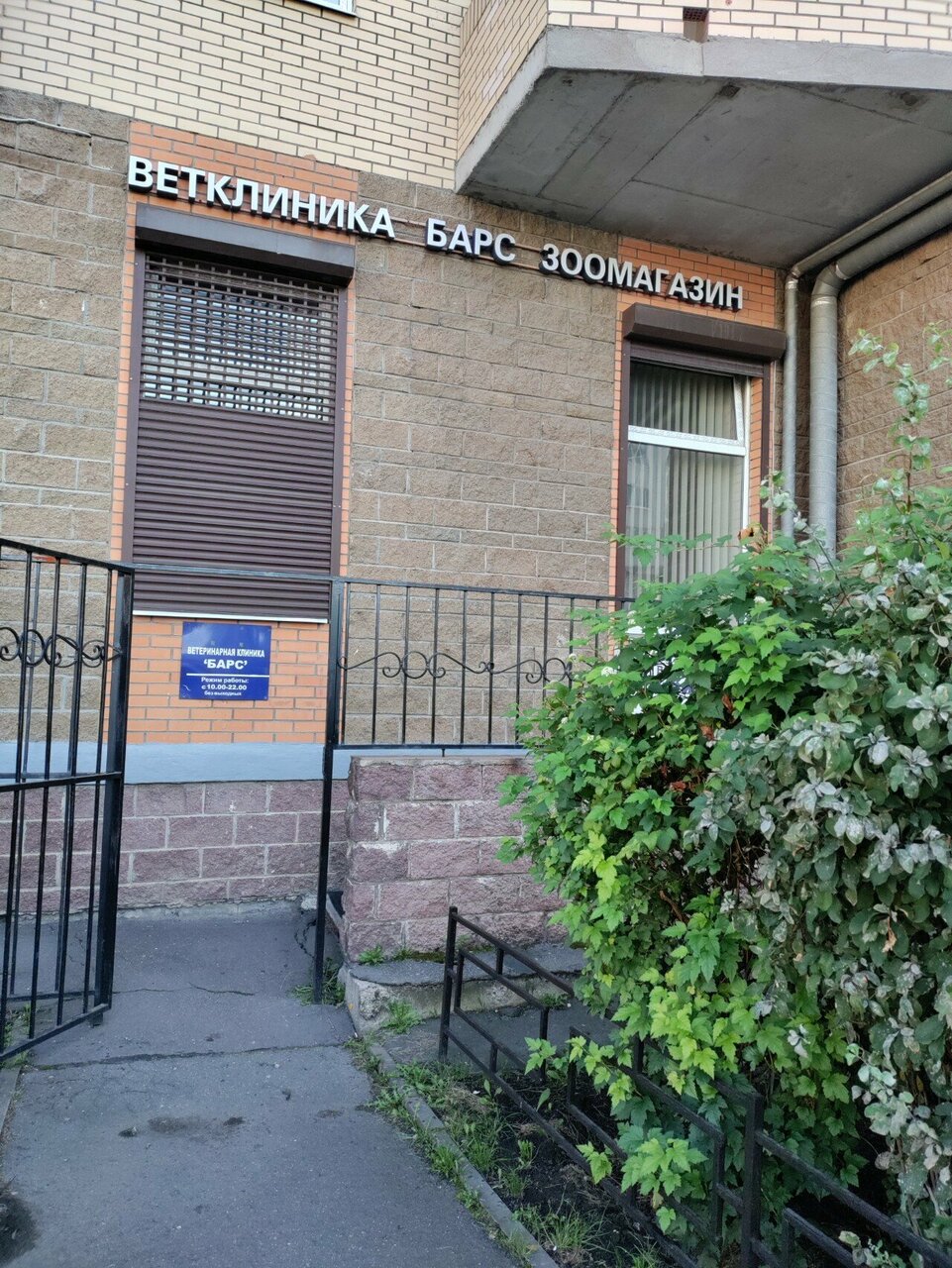 Фото клиники 53512