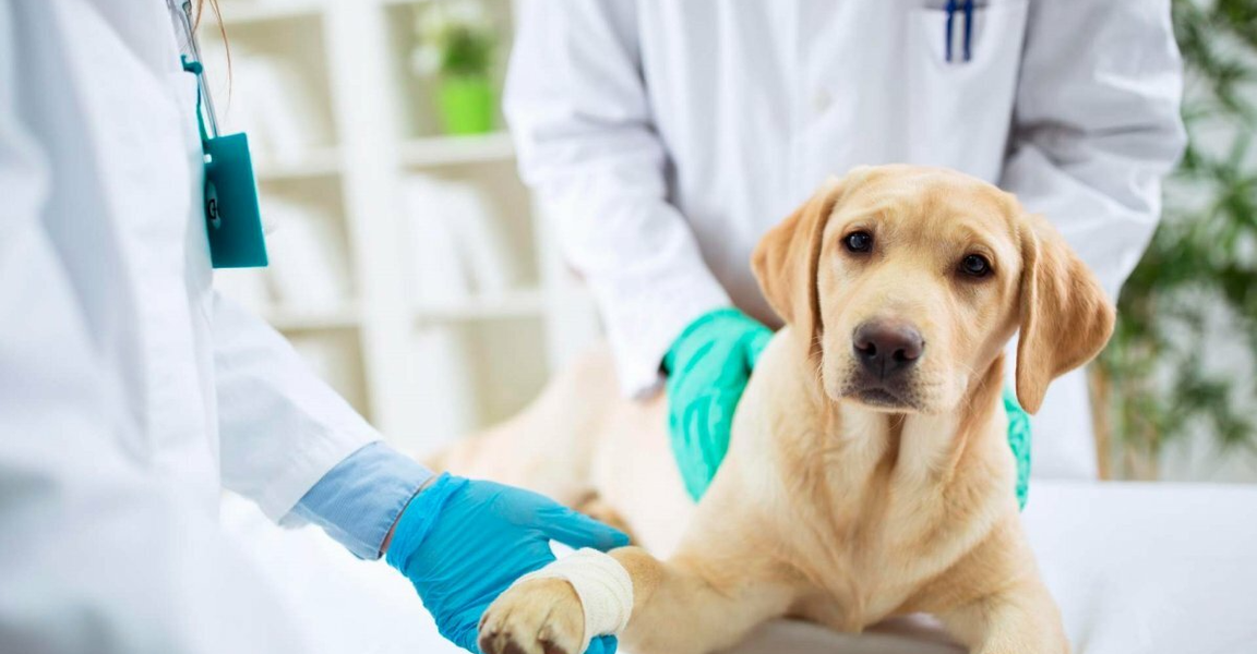 clinic general image