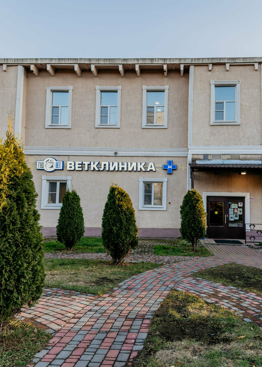 Фото клиники 68393