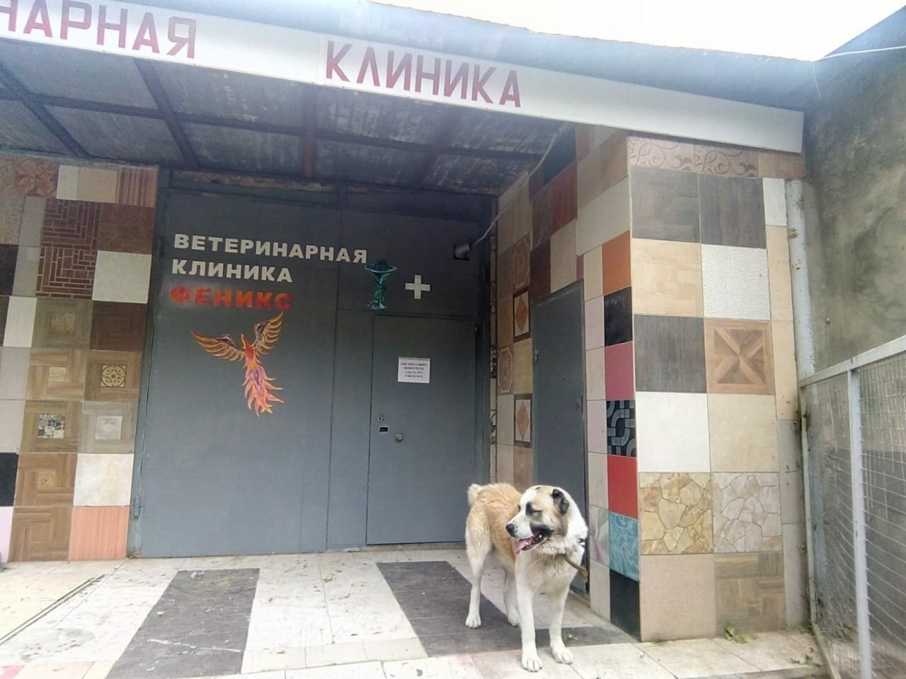 clinic general image