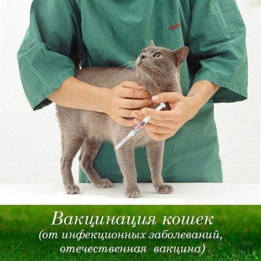 clinic general image