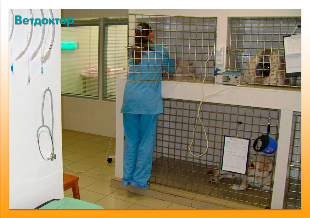 more clinic photos 7795