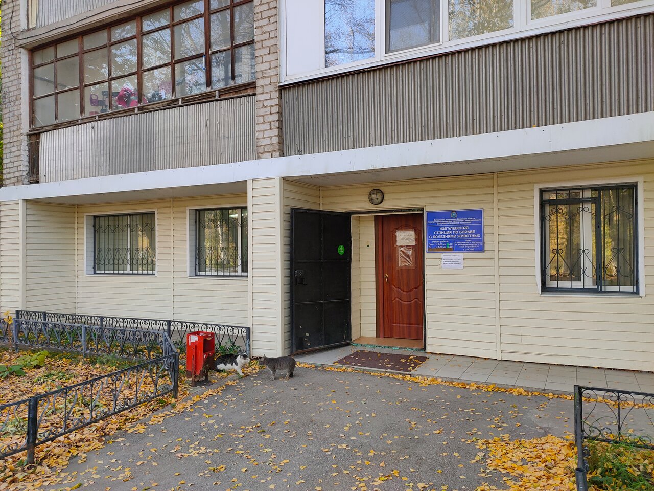 Ветеринарная городская станция по борьбе с болезнями животных