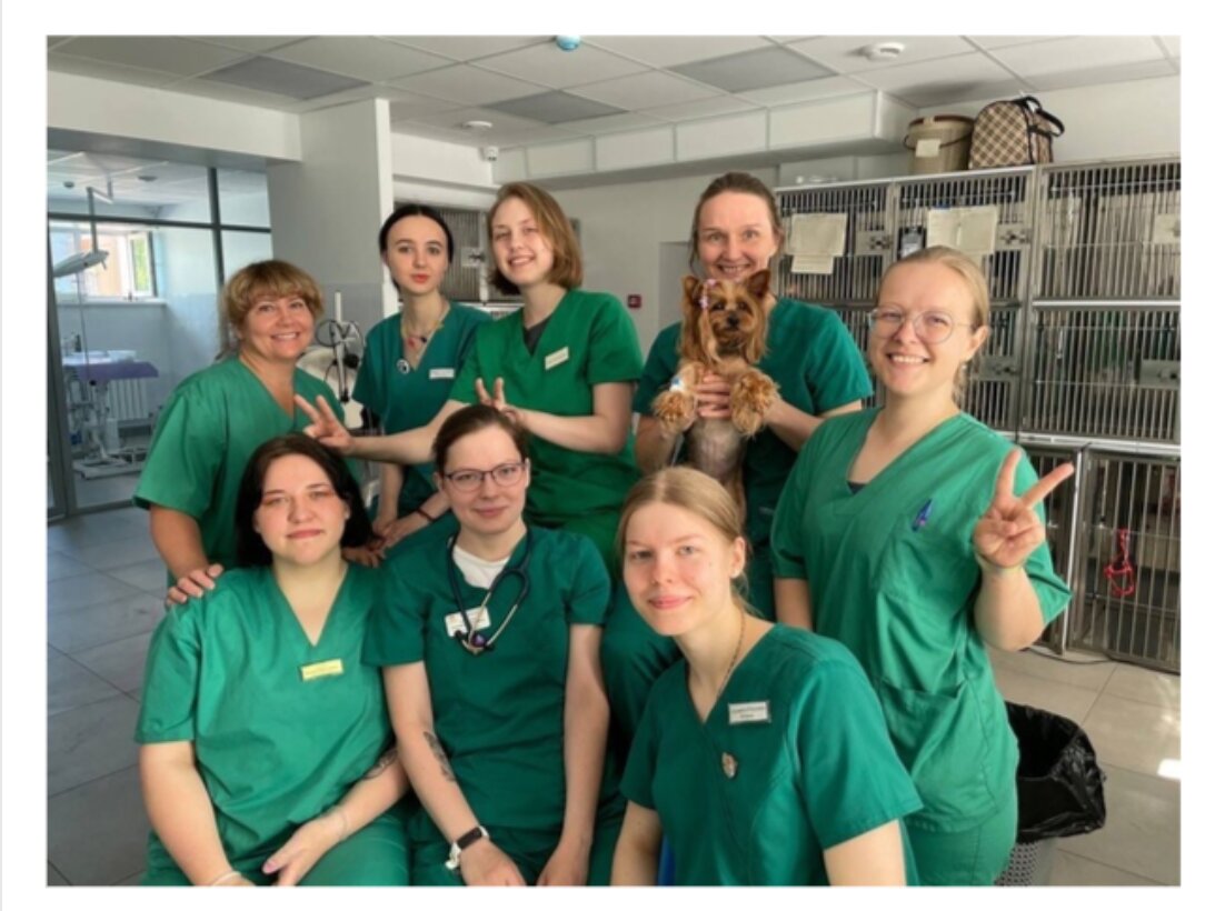 Возрождение