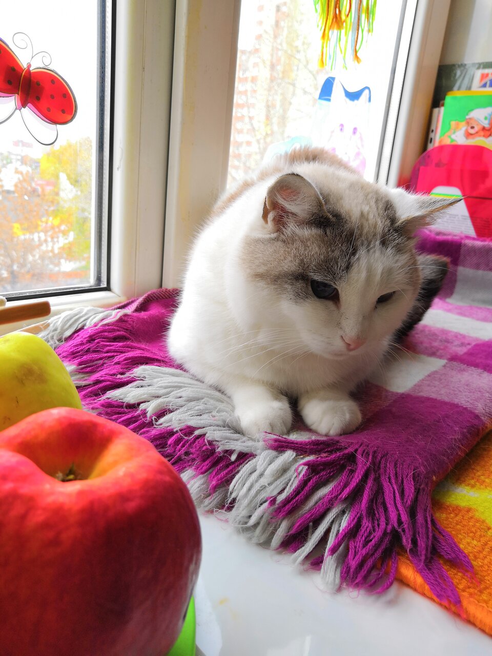 more clinic photos 10298