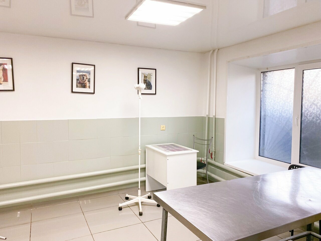 more clinic photos 4319