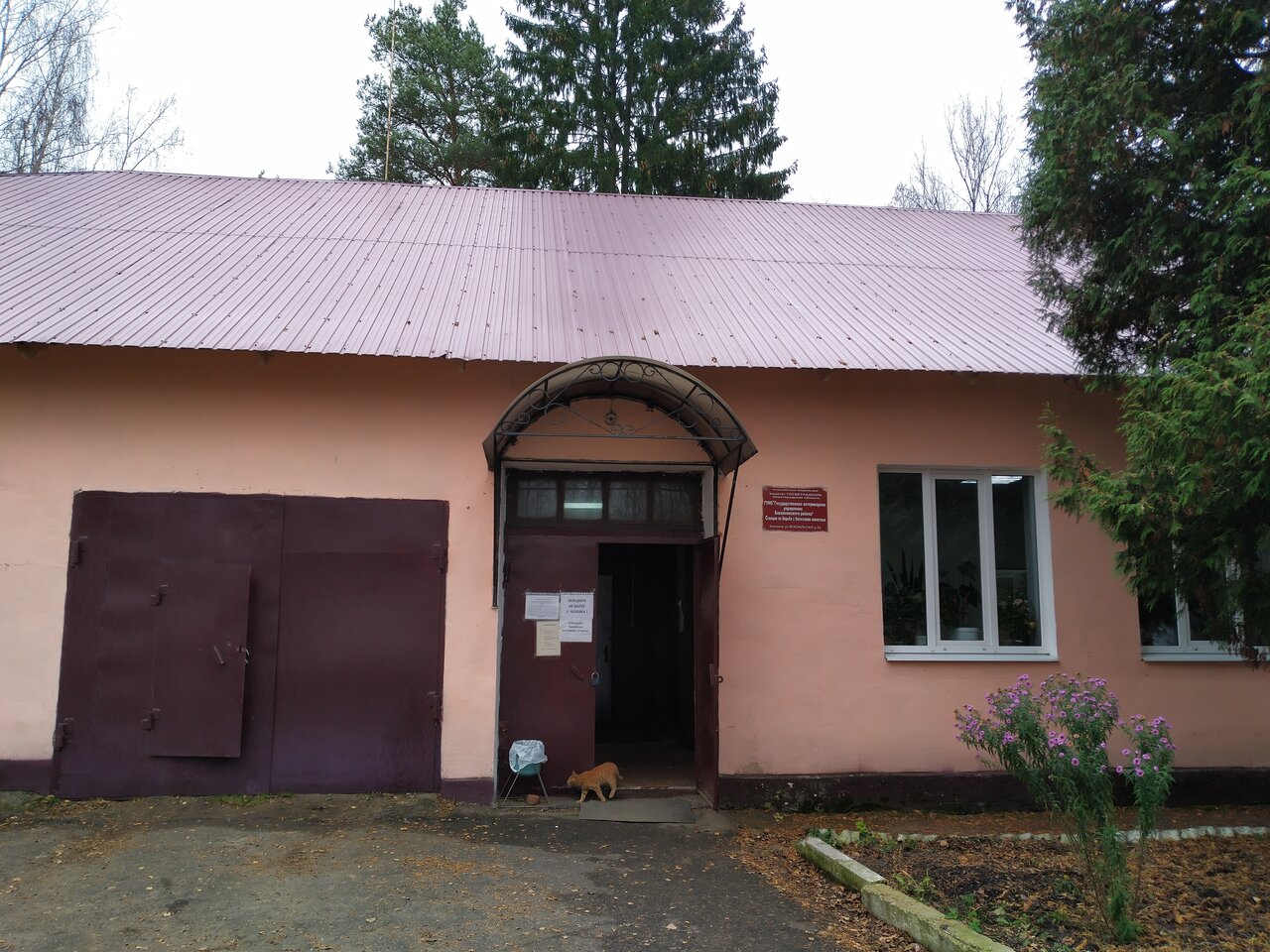 clinic general image