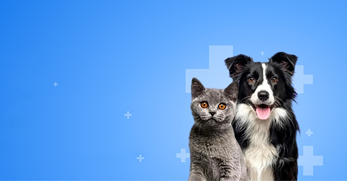 clinic general image