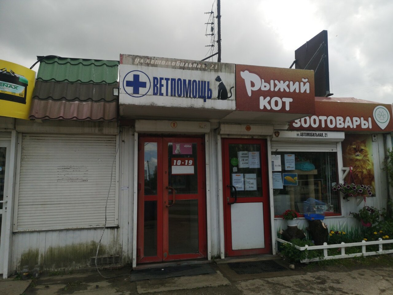 Фото «Ветпомощь»