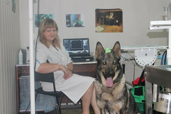 Свой доктор