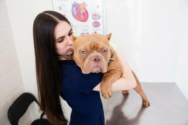 clinic general image