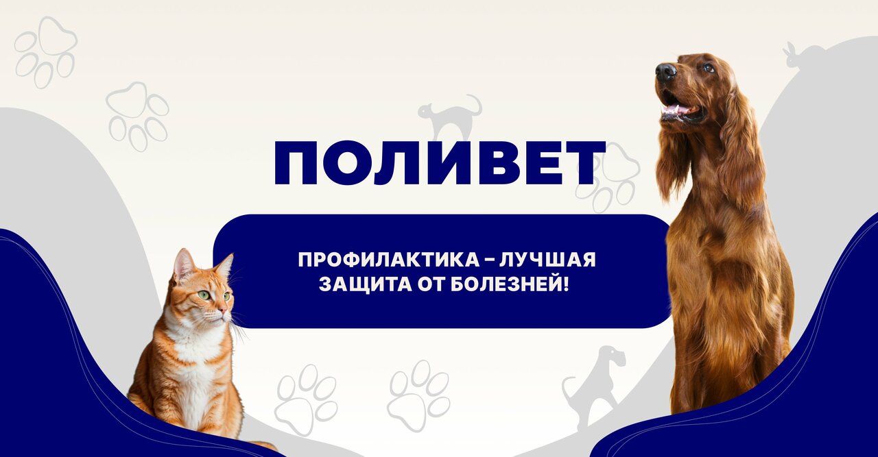 clinic general image