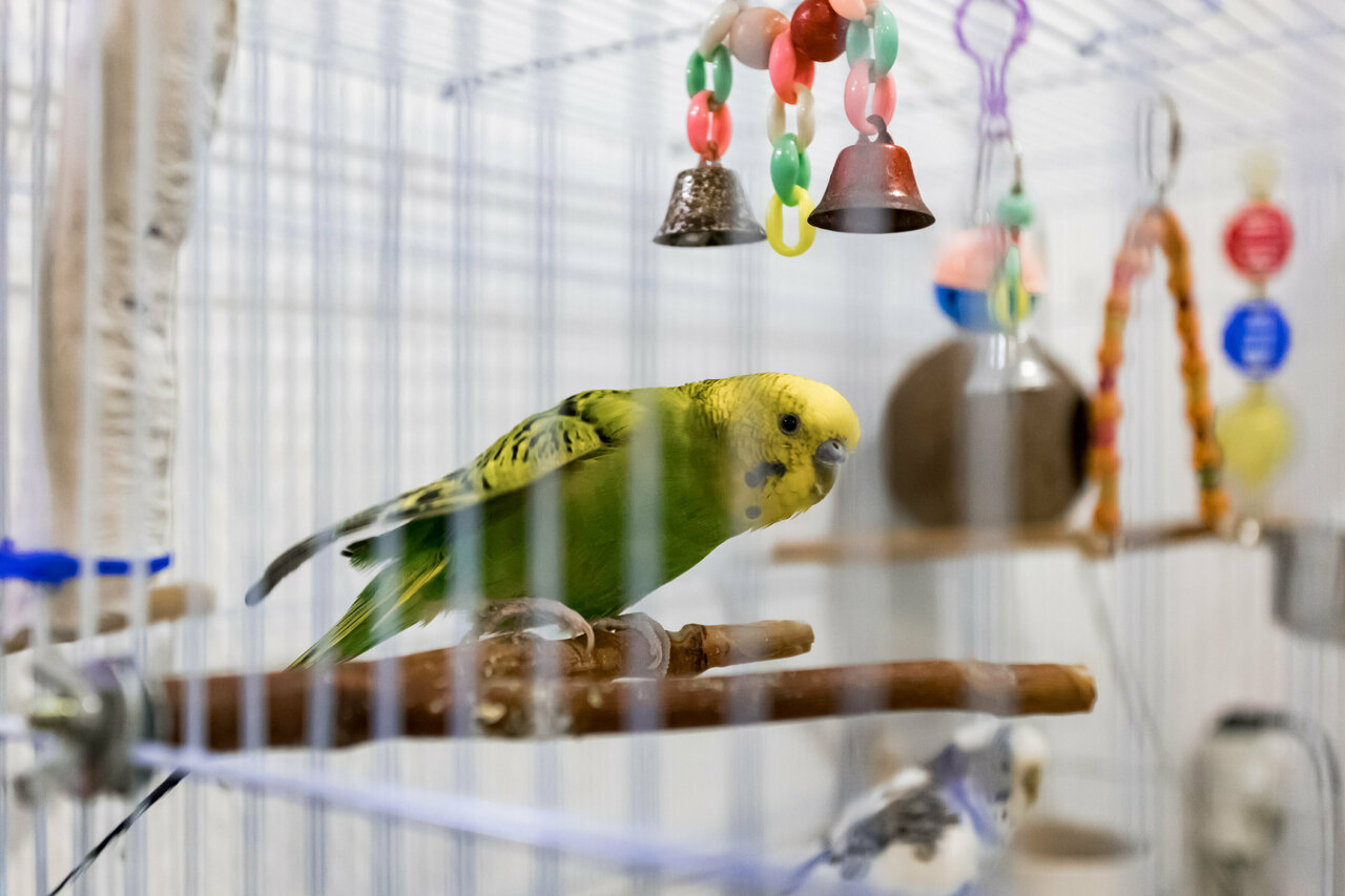 more clinic photos 85308