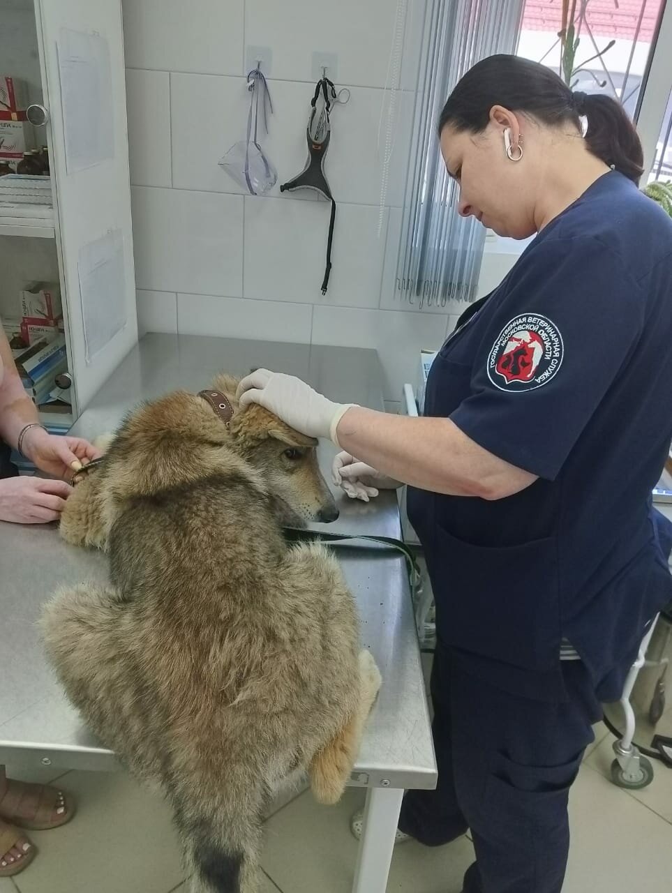 more clinic photos 2649