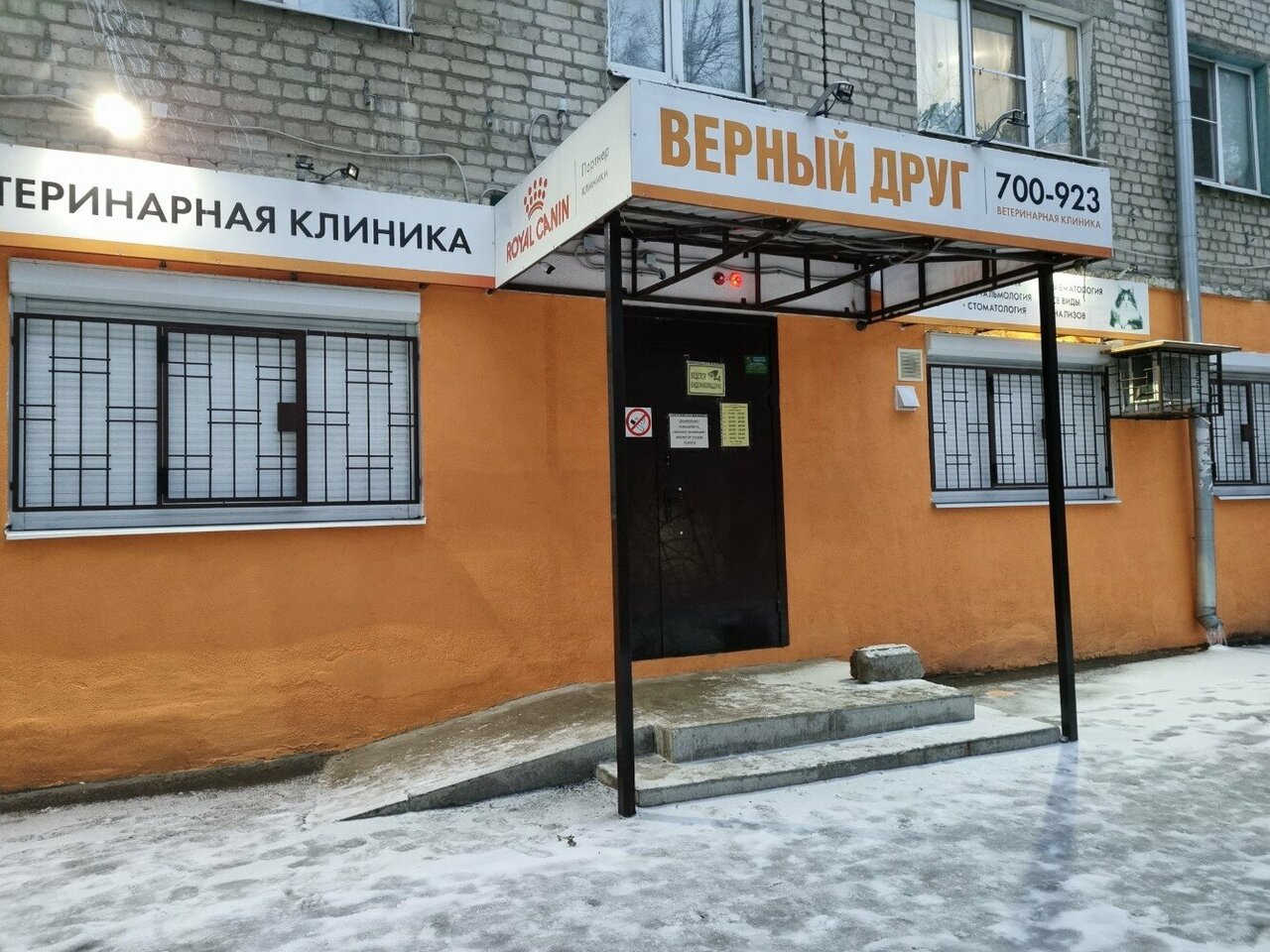 Фото «Верный друг»