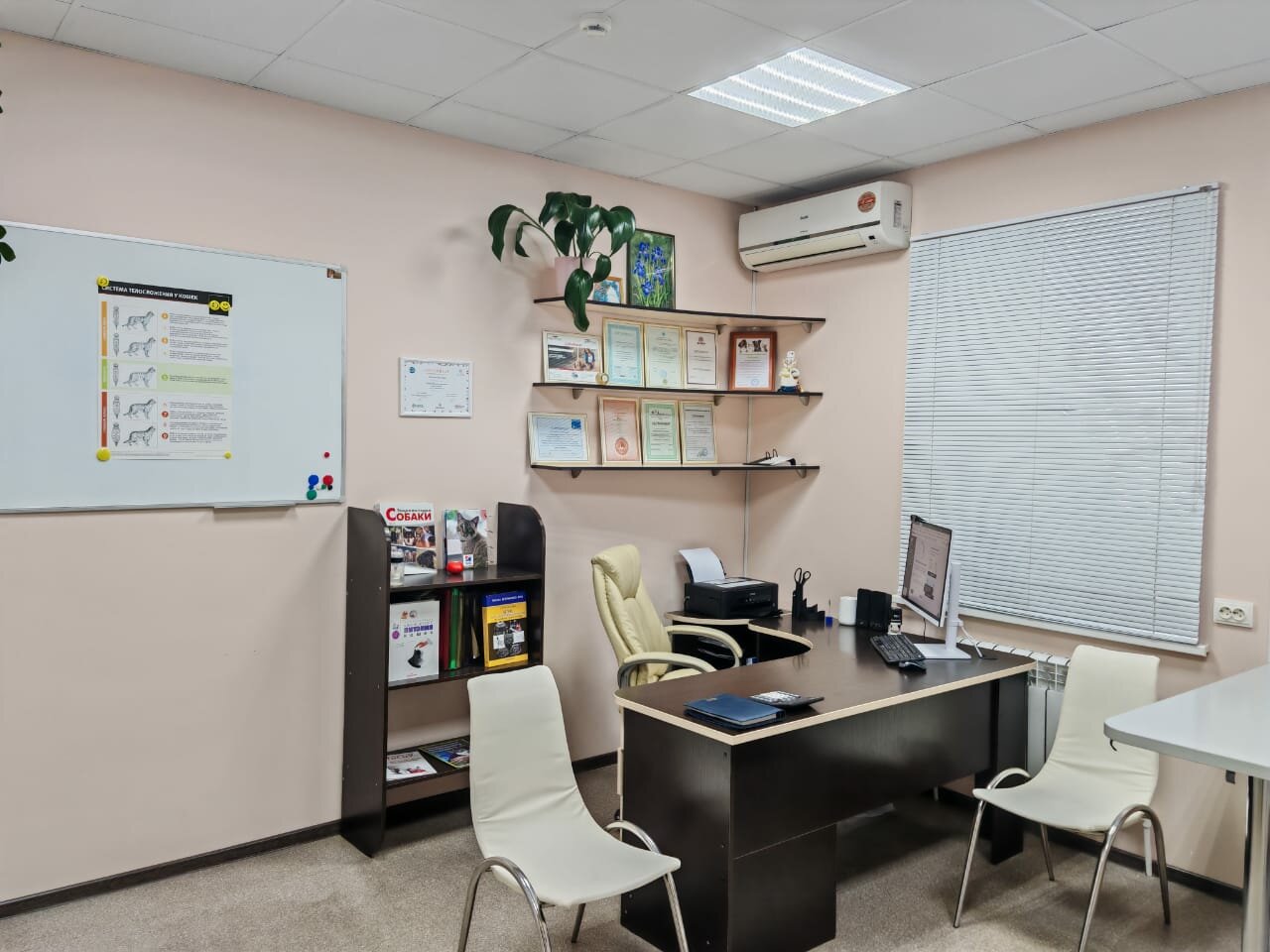 more clinic photos 24934