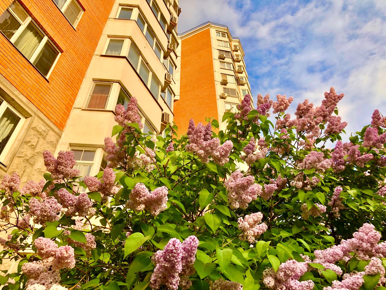 Фото клиники 60346