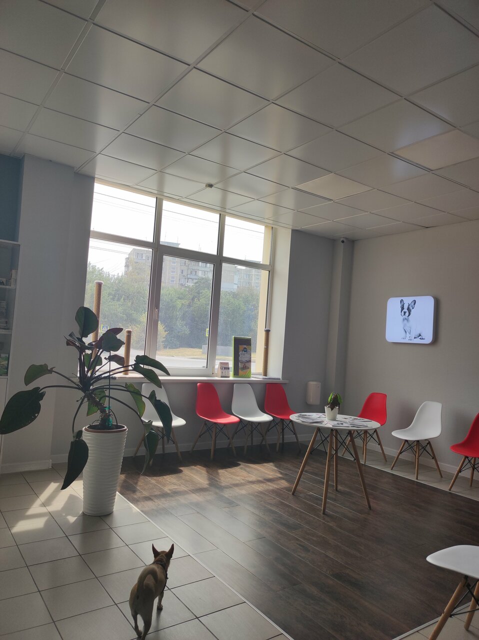 more clinic photos 21202