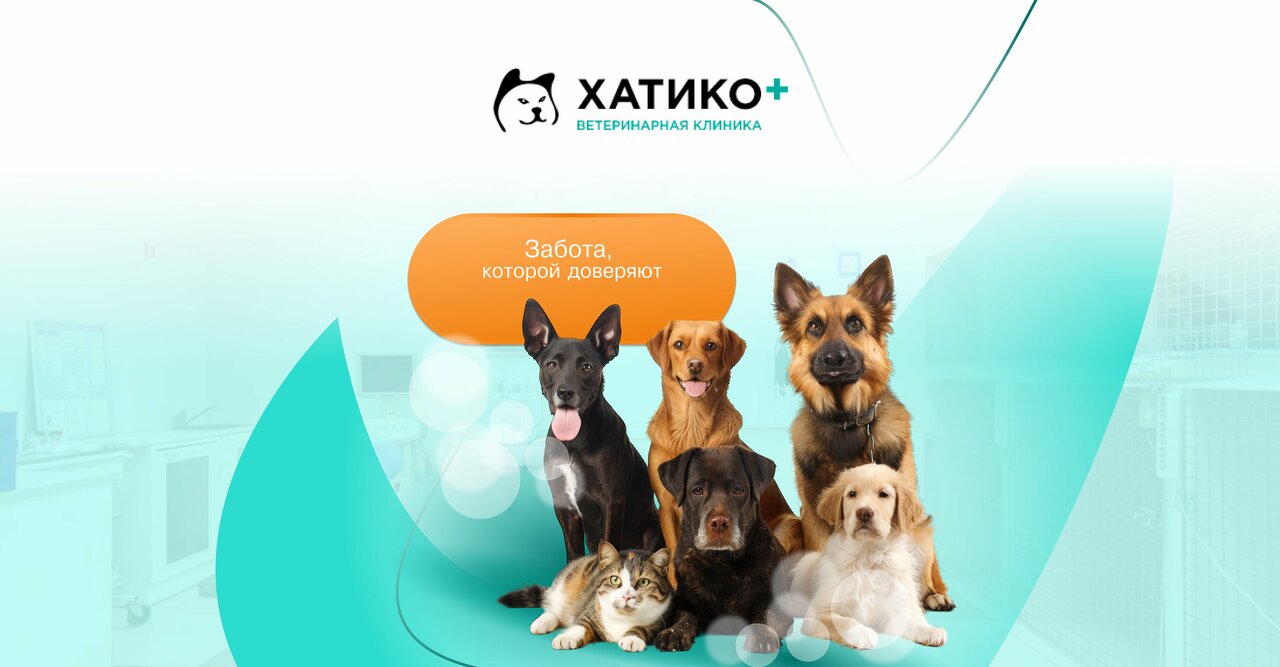 Фото «Хатико»