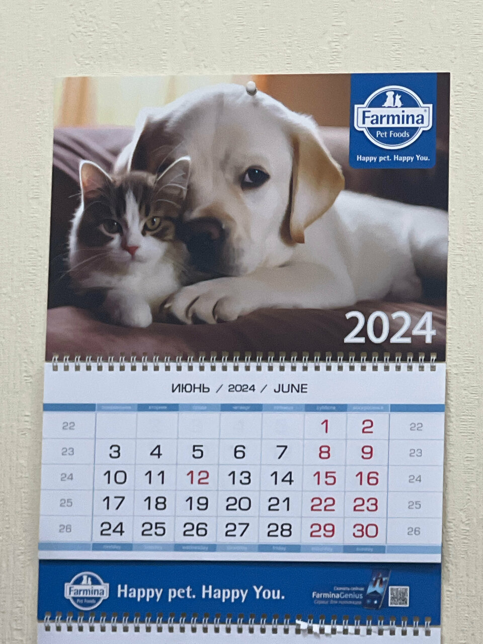 more clinic photos 40157