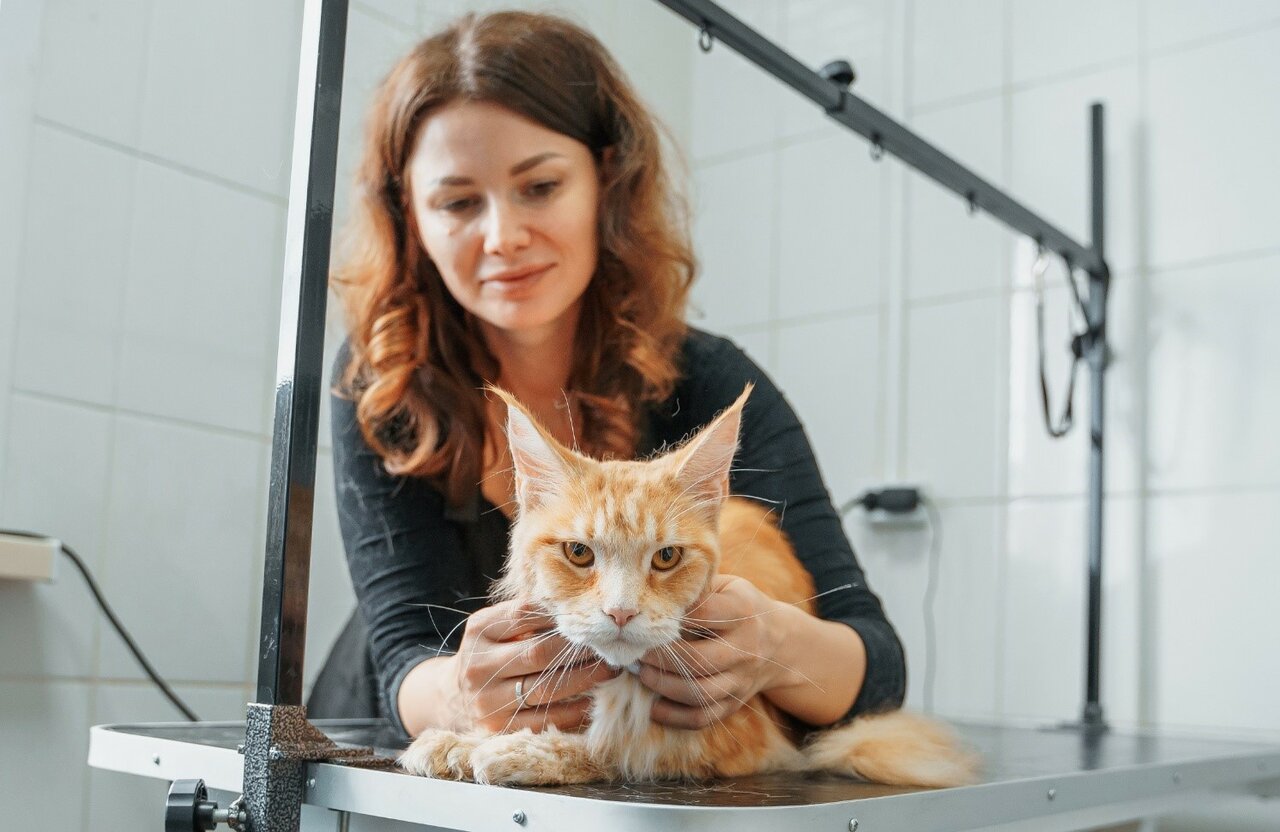 clinic general image