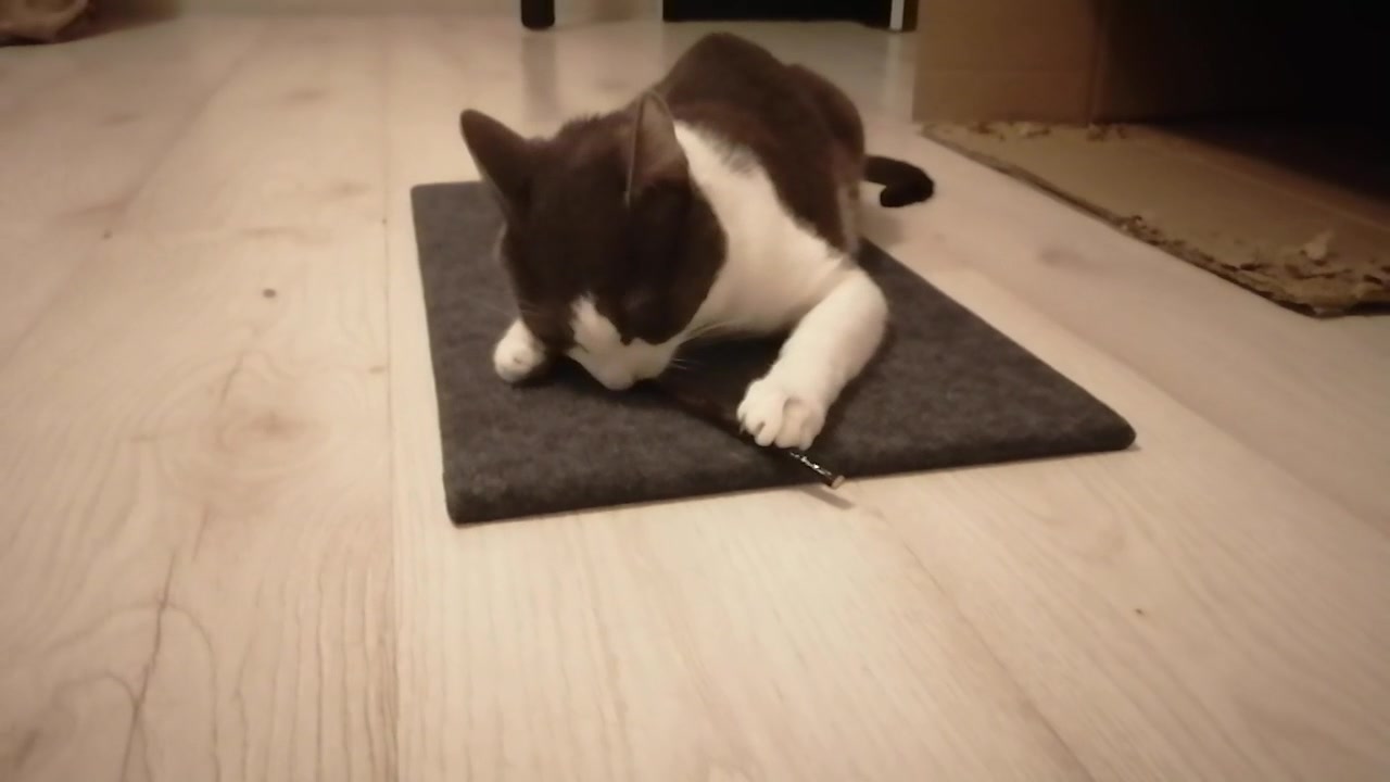 clinic general image