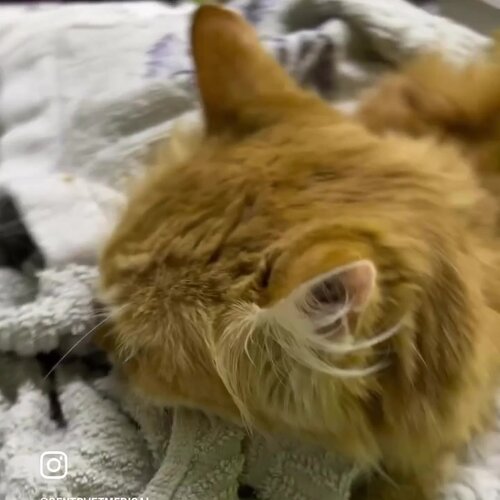 clinic general image