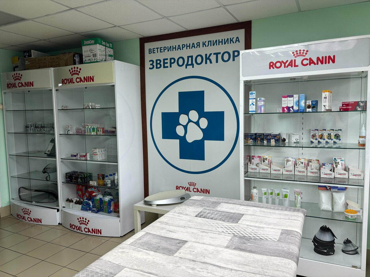 Зверодоктор