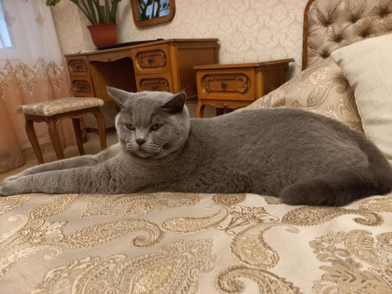 Ветеринарный участок