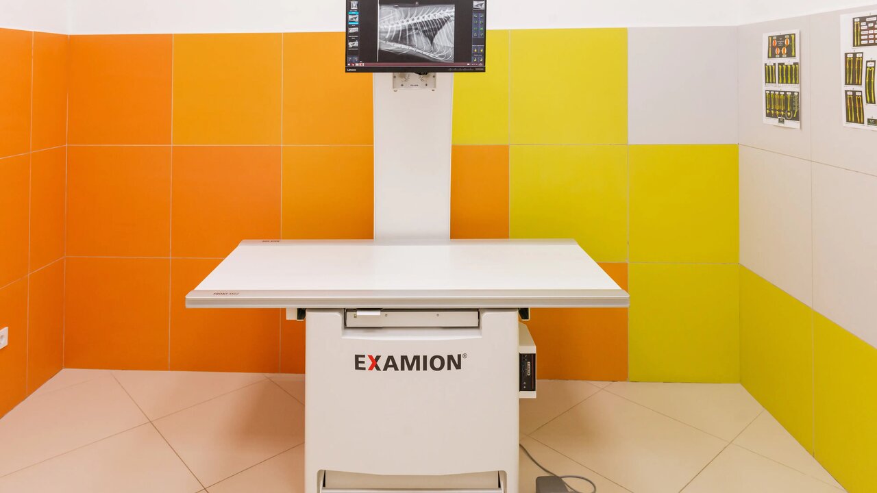 more clinic photos 77152