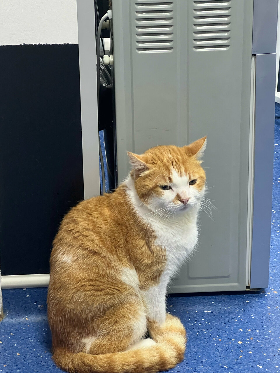 more clinic photos 83274