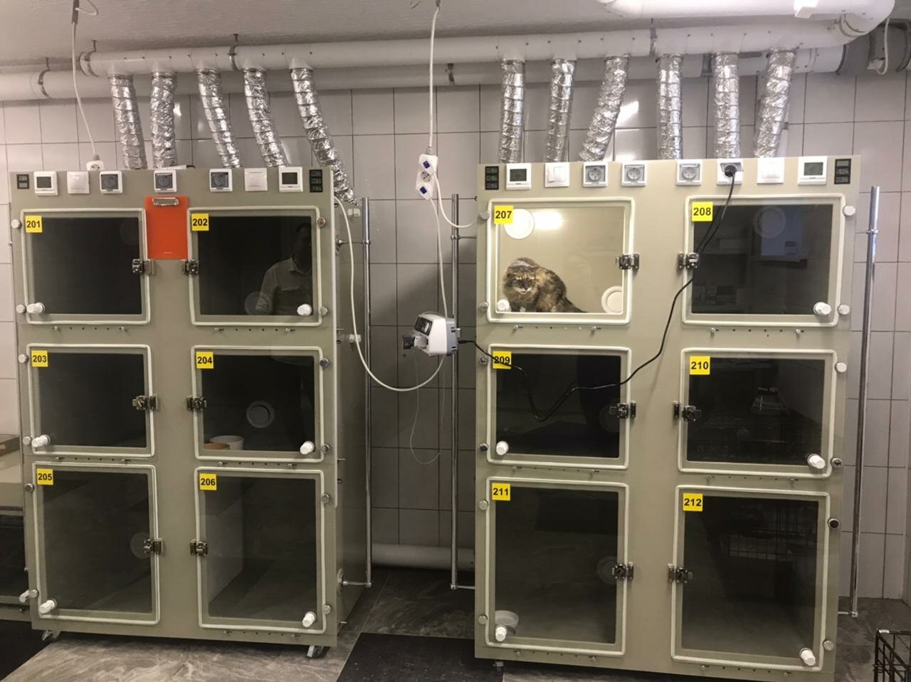 more clinic photos 69526