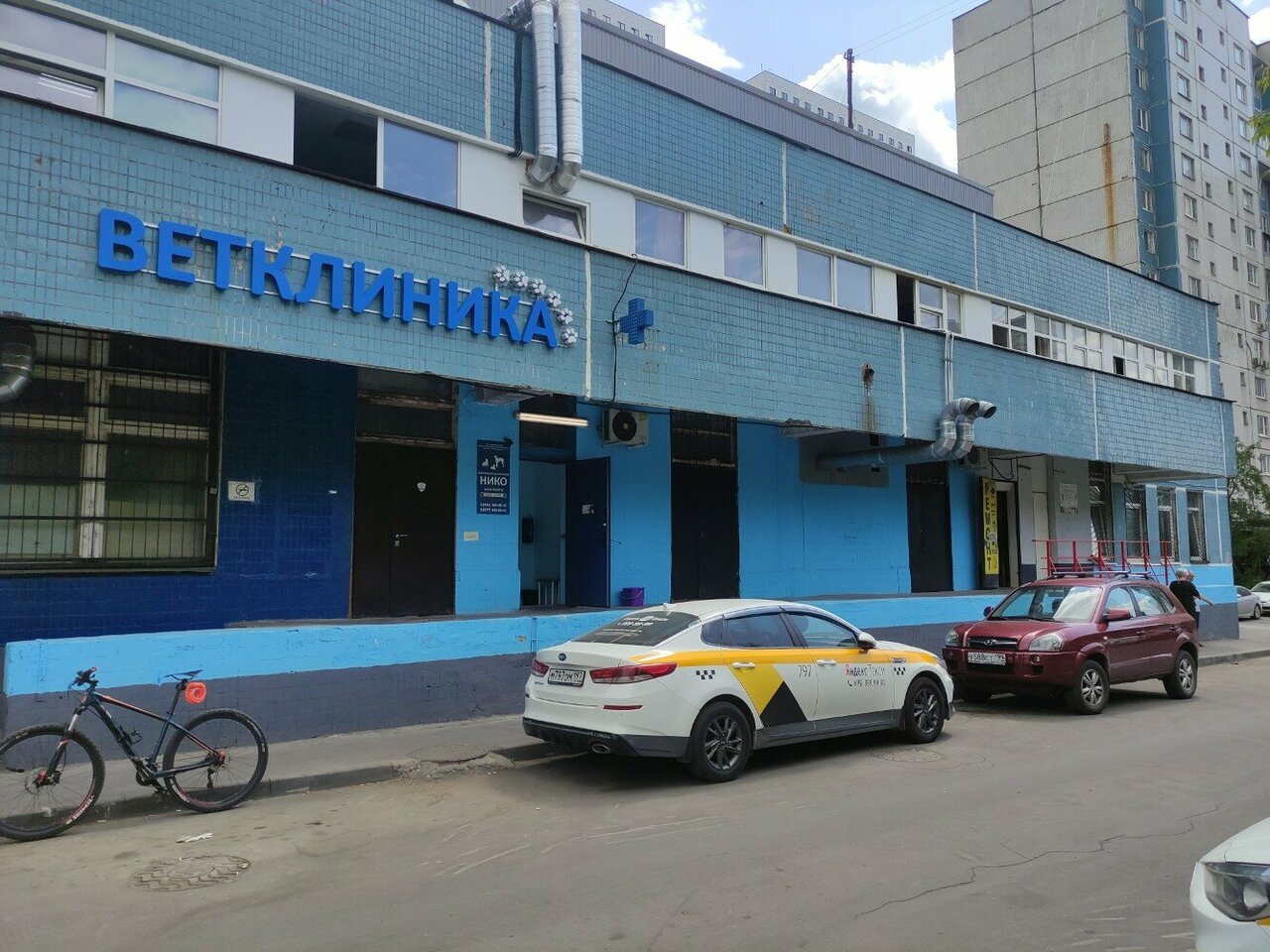 Фото «Нико»