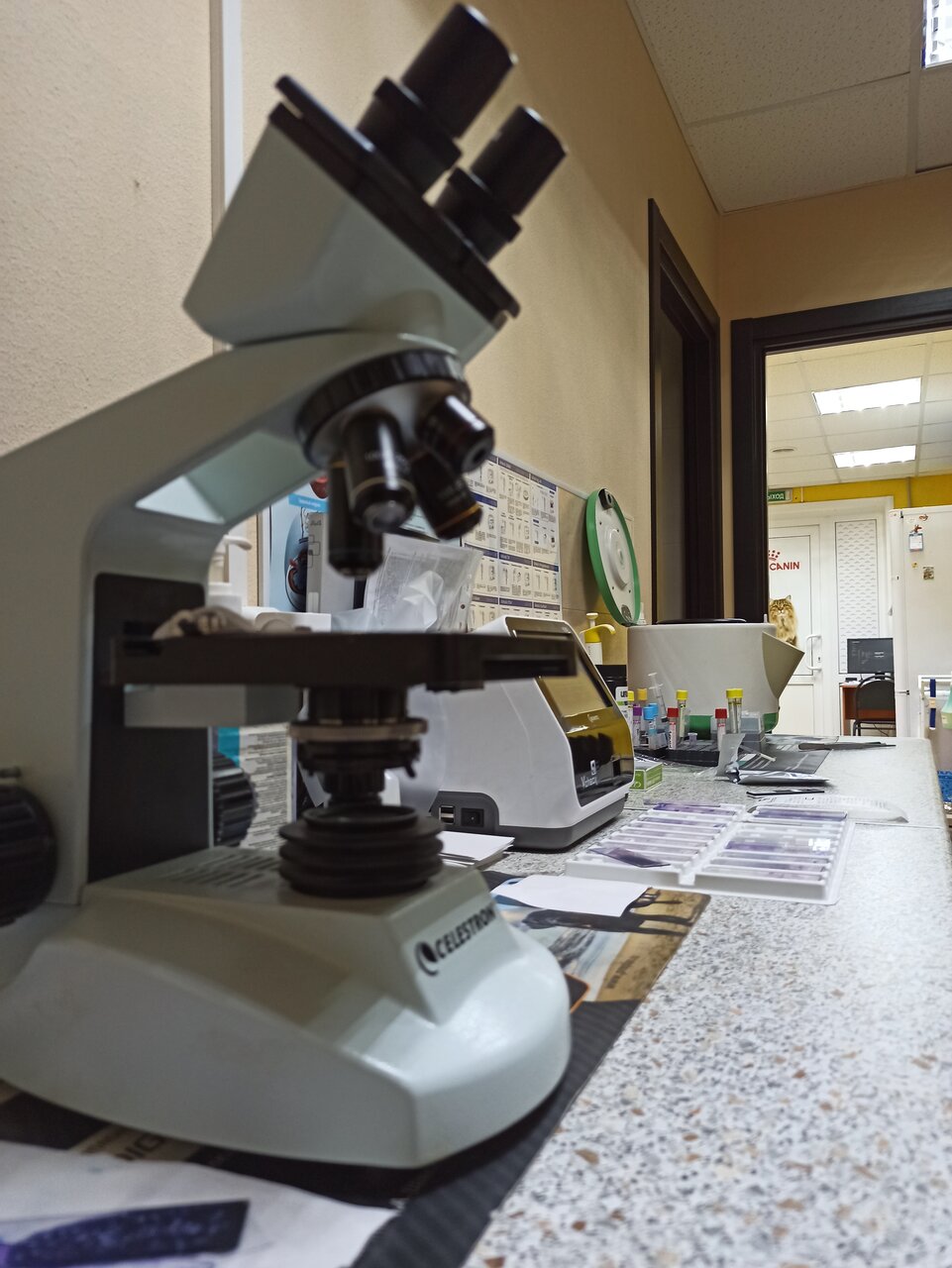 more clinic photos 21819