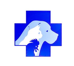clinic logo