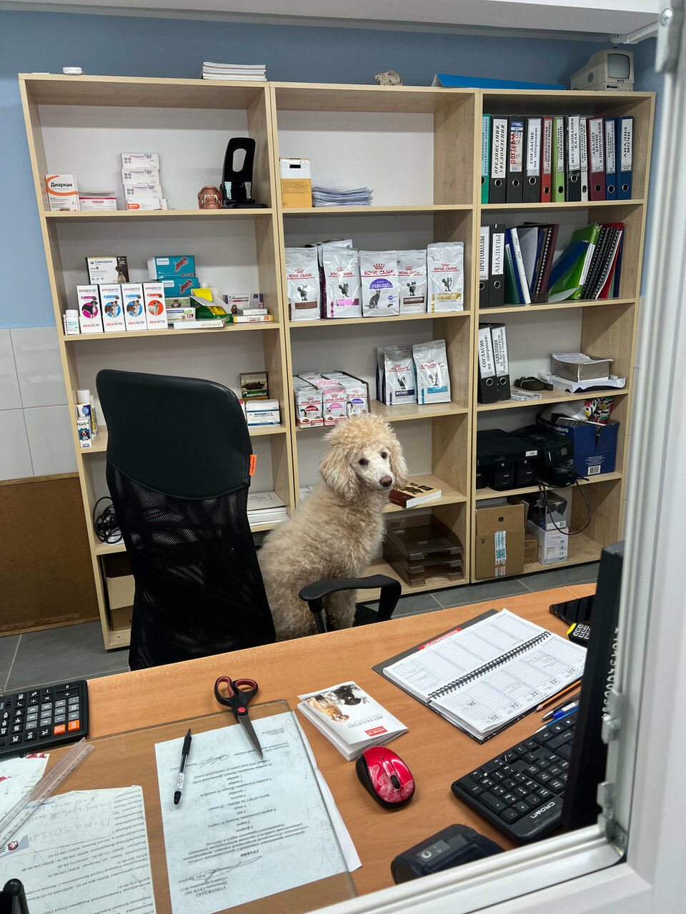 more clinic photos 5678