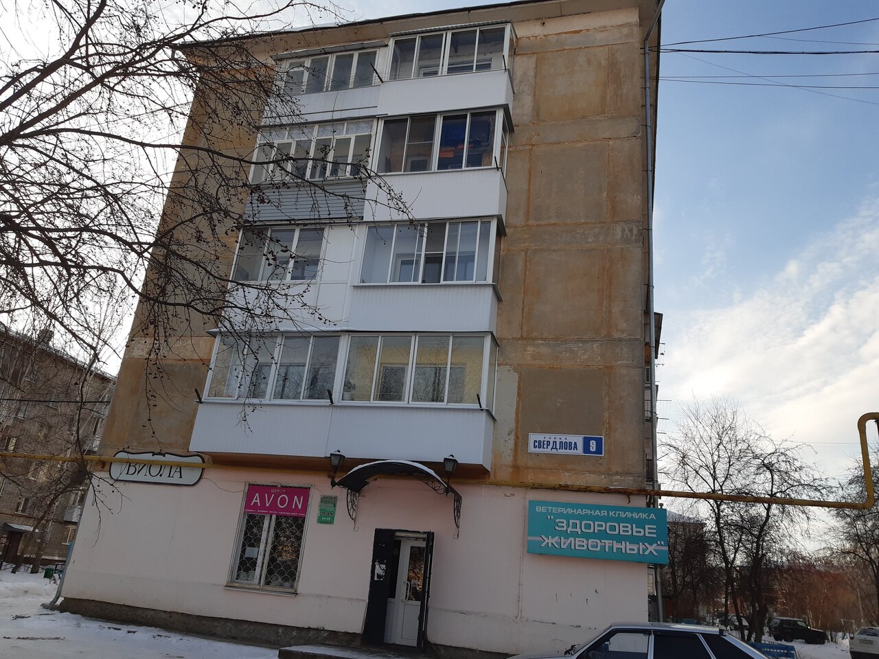 Здоровье Животных