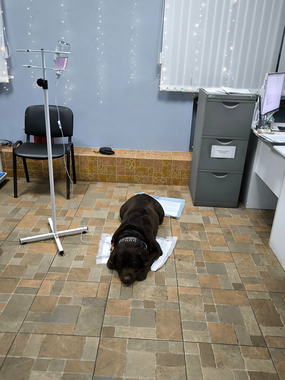 more clinic photos 10662