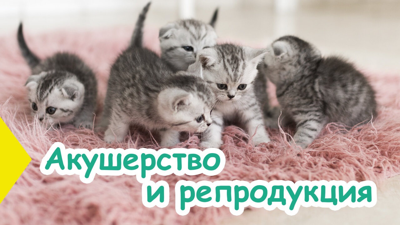 clinic general image